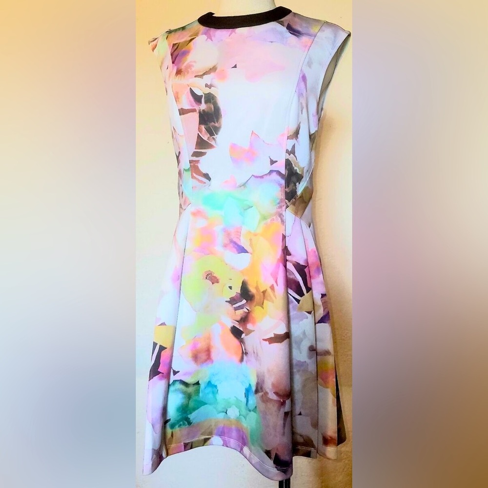 Ted Baker London Jeneyy Electric Day Dream Dress Size 1 Fit & Flare floral